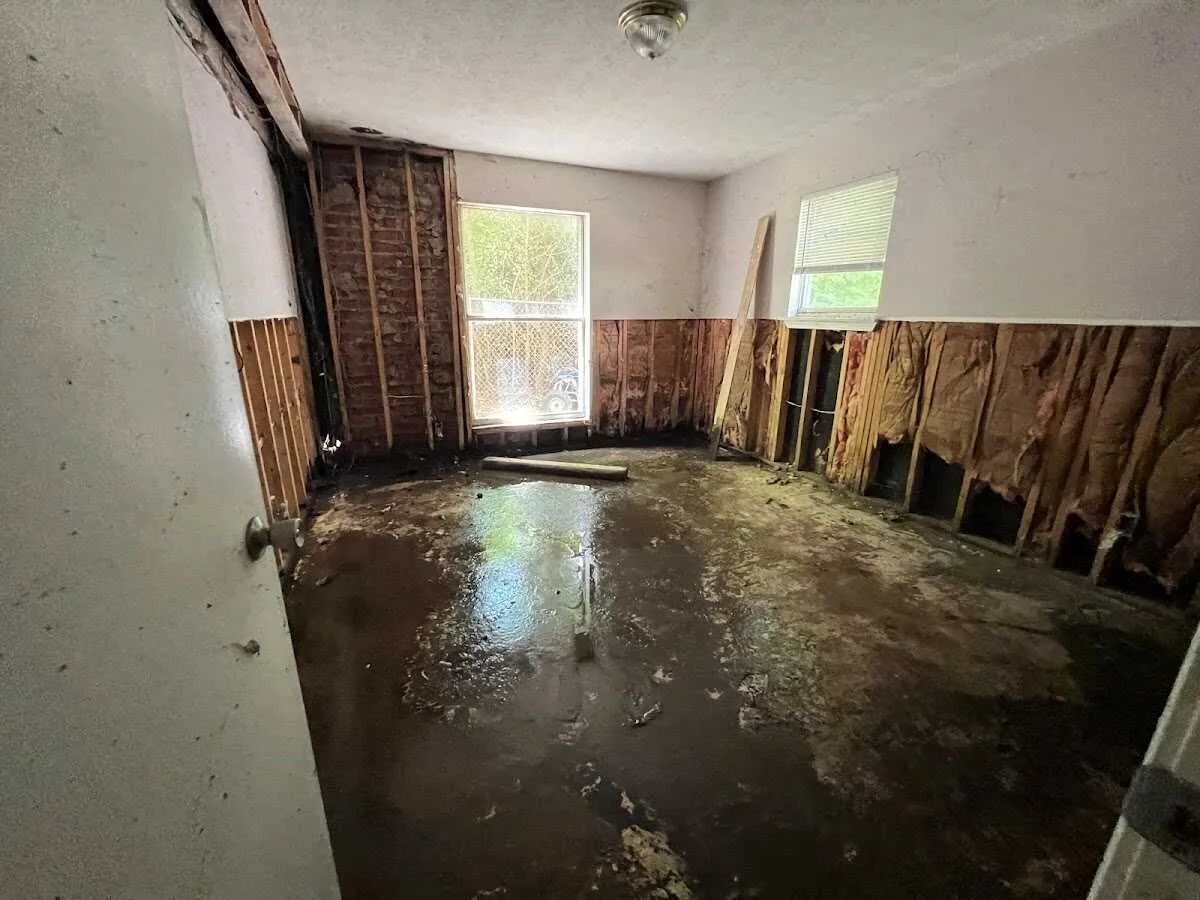 Basement Flood Cleanup in Horn Lake, MS